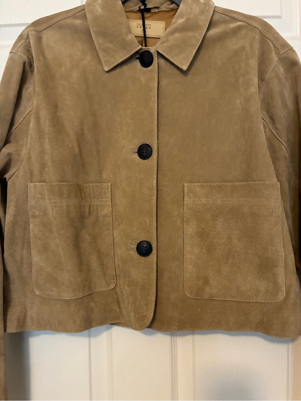 NWT BLANKNYC Anthropologie Cropped Genuine Suede Jacket Large - Picture 3 of 11